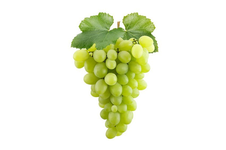 GREEN SEEDLESS GRAPE 1PKT